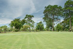 레이크우드 컨트리 클럽 방콕 