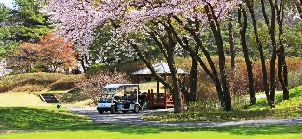 양지파인리조트