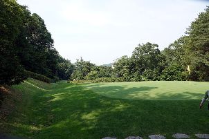 양지파인리조트