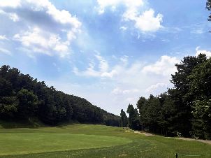 양지파인리조트