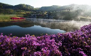 캐슬파인 골프 클럽