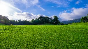 아일랜드 골프 가든 우베