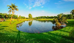 방콕 골프 클럽 (P2)