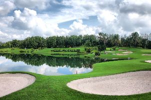 알파인 골프 클럽