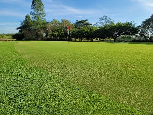 스카이밸리 CC (P2)