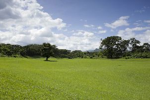 F.A. 코리아 컨트리 클럽 B 코스