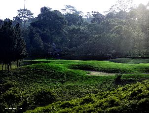 레인보우힐스 GC