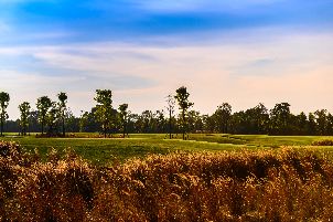 시암 컨트리 클럽 방콕
