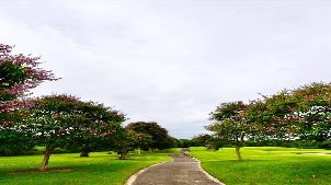 부라파 골프 & 리조트 (P2)