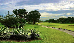 부라파 골프 & 리조트 CD 코스