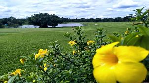 그린우드 골프 클럽 (P3)