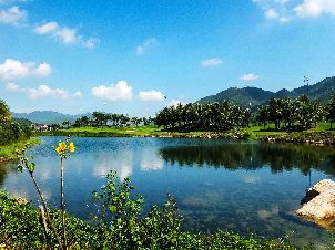 다이아몬드 베이 GC