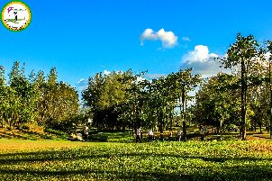 퍼마이푸라 골프 & 컨트리 클럽 (P2)