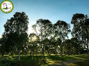 퍼마이푸라 골프 & 컨트리 클럽