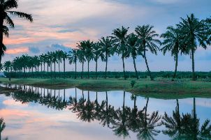 로얄 캄풍 콴탄 클럽 (P2)