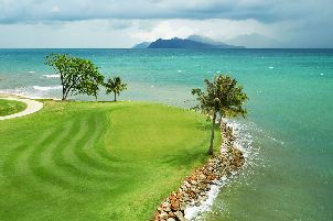 더 엘스 텔룩 다타이