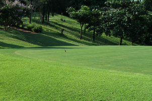 붕따우 파라다이스 골프 코스