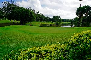 블루캐년 컨트리 클럽 캐년 코스 (P2)