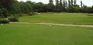 더 빈티지 클럽 (P4)