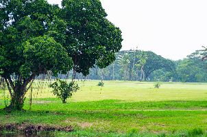 방파콩 리버사이드 컨트리 클럽