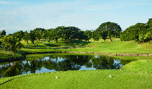 리버데일 골프 & 컨트리 클럽 (P4)