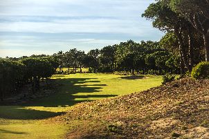 더 오이타보스 듄스 (P3)