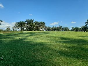 씨 게임 골프 클럽
