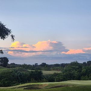 파인힐스 앤디 다이 GC