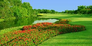 다이너스티 골프 & 컨트리 클럽 (P3)