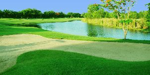 다이너스티 골프 & 컨트리 클럽 (P2)