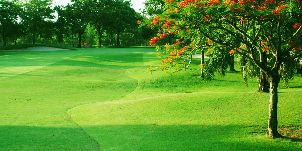 다이너스티 골프 & 컨트리 클럽