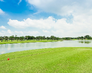 파인허스트 골프 & 컨트리 클럽 (P2)