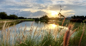 파인허스트 골프 & 컨트리 클럽 (P3)