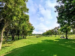 타나 시티 컨트리 클럽