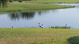 탄야 골프 클럽