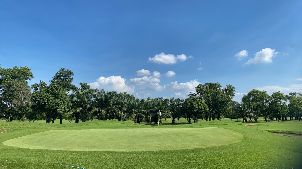 더 파인 골프 클럽