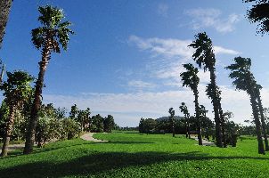 샤인빌파크 컨트리클럽