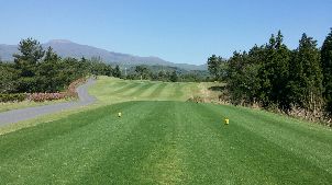 스프링데일 골프 리조트