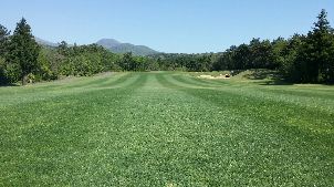 스프링데일 골프 리조트