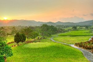 세인트 앤드류스 2000 골프 클럽 (P4)