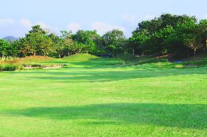 세인트 앤드류스 2000 골프 클럽 (P2)