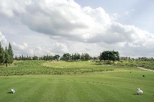 스태리 밸리 골프 클럽