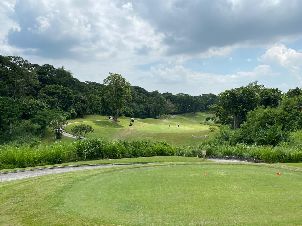 미모사 골프 앤 컨트리클럽