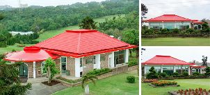 장화 골프 클럽