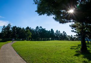 타이완 골프 컨트리 클럽