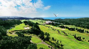 동화 골프 클럽