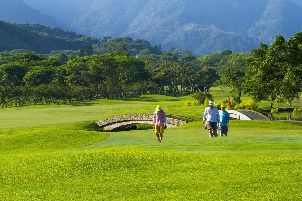 산호관 골프 클럽