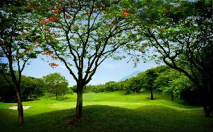 산호관 골프 클럽