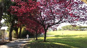 풍원 골프 컨트리 클럽