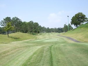 타이중 국제 골프 클럽